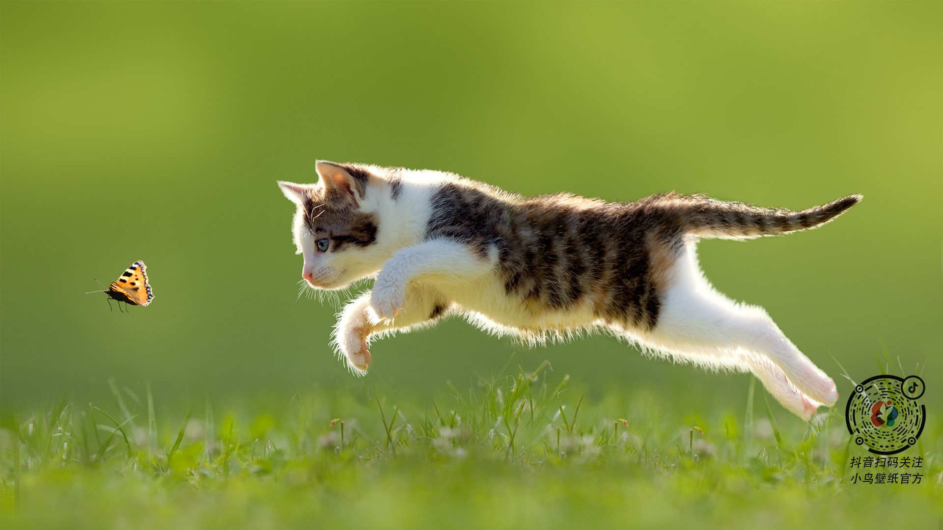 哥伦比亚队在巴黎奥运会比赛中展现出快速反击战术，奥运会哥伦比亚代表团